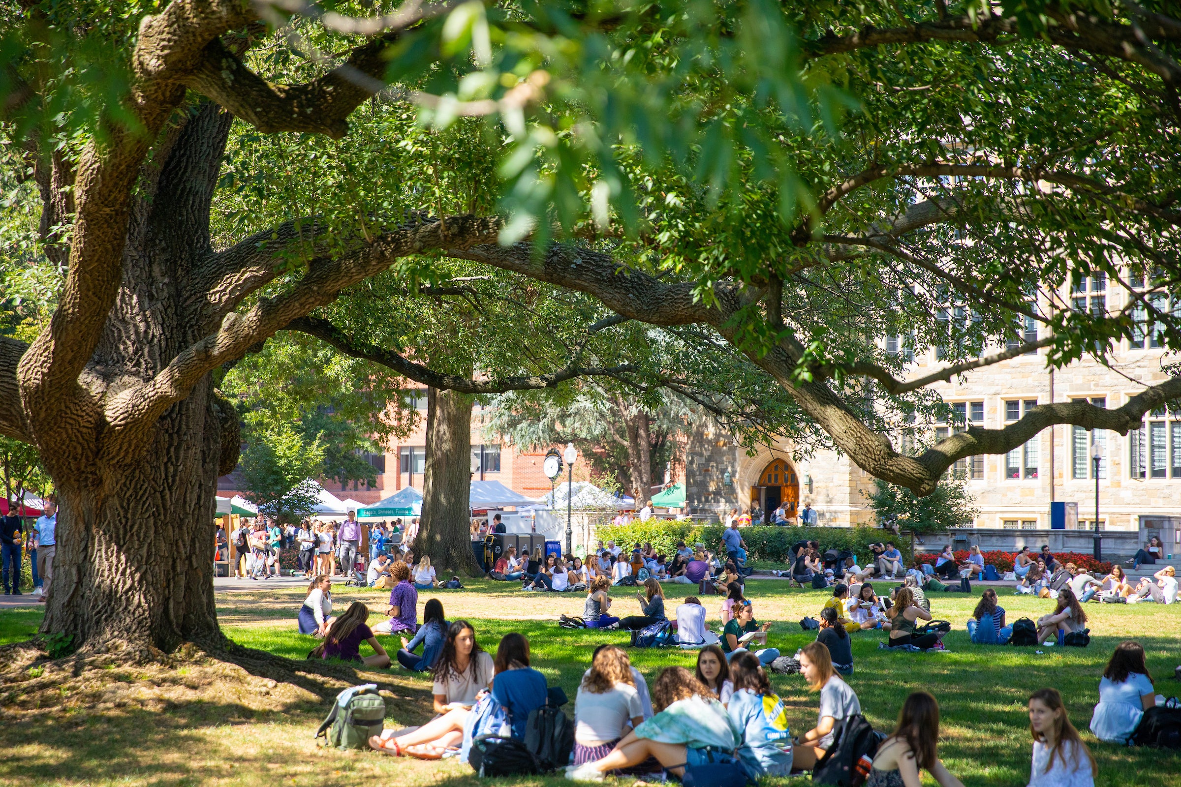 Students sitting on the campus lawn