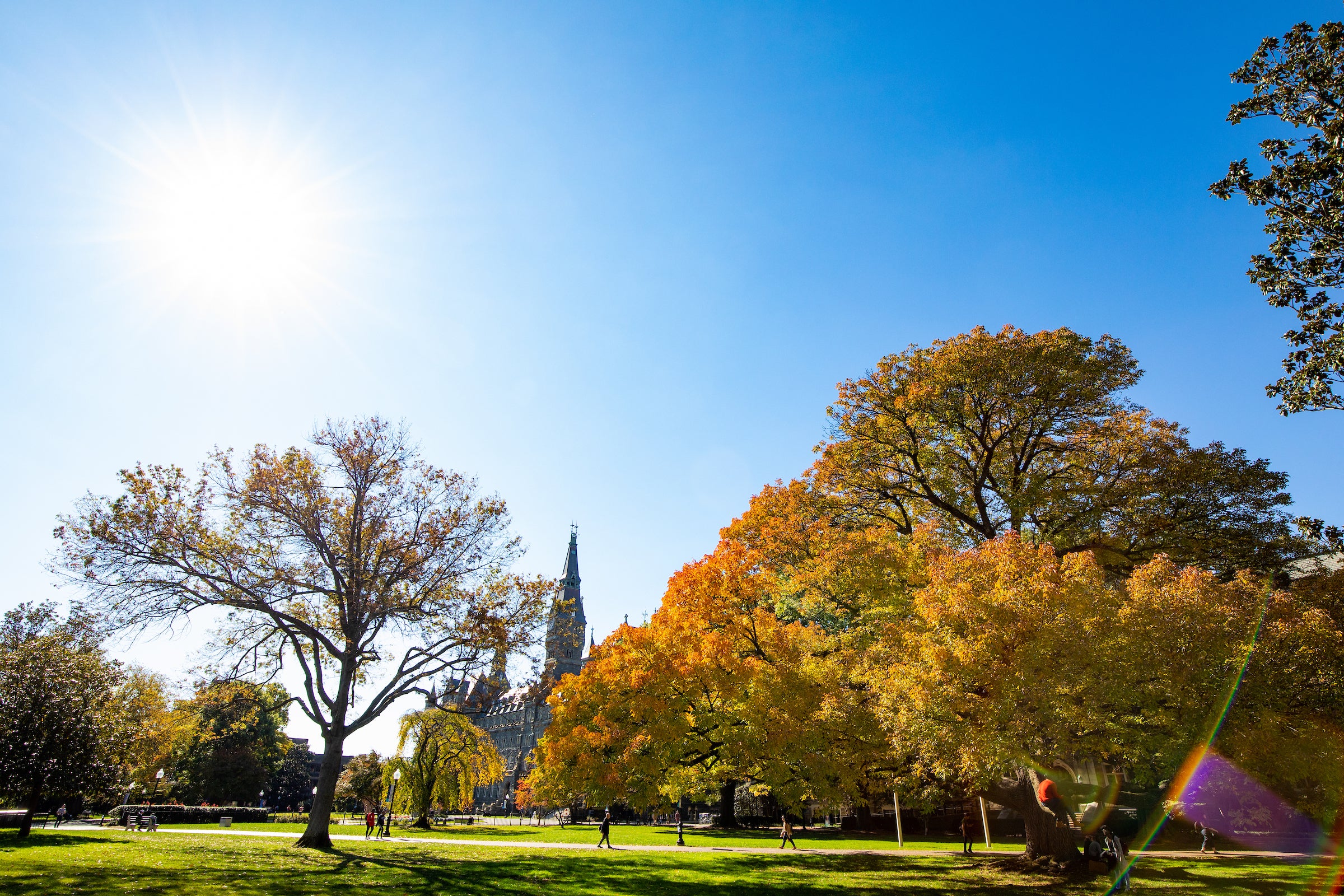 Georgetown front lawn